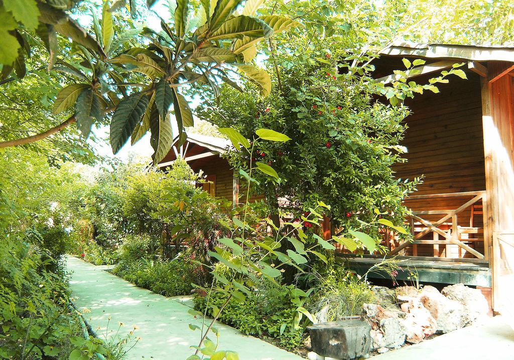 Merhaba Bungalow Beykonak Bagian luar foto