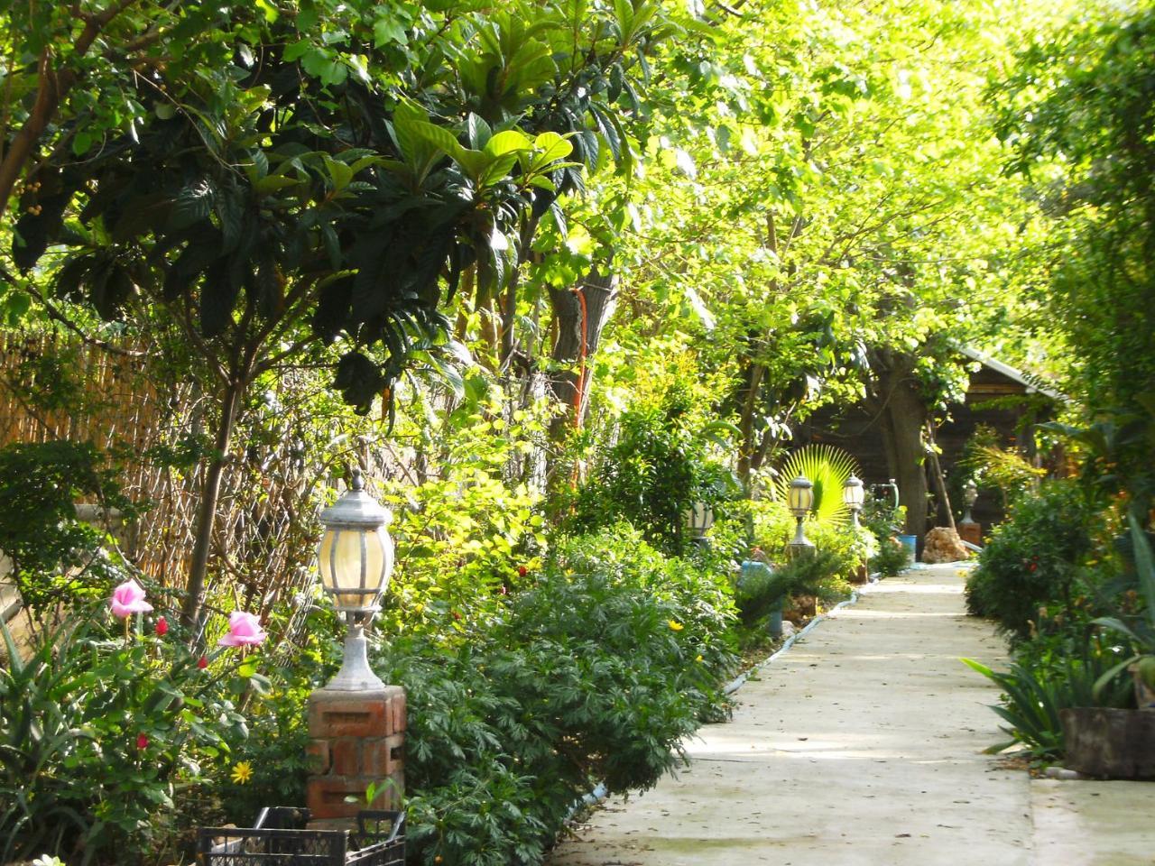 Merhaba Bungalow Beykonak Bagian luar foto